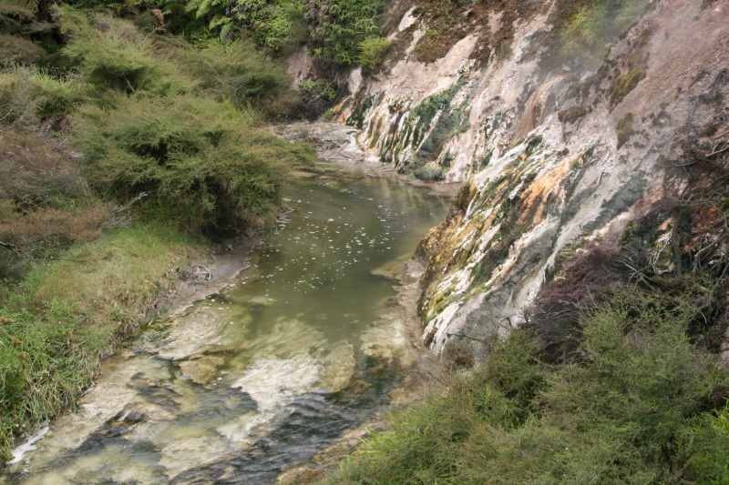 Nieuw-Zeeland 2011 - 0723